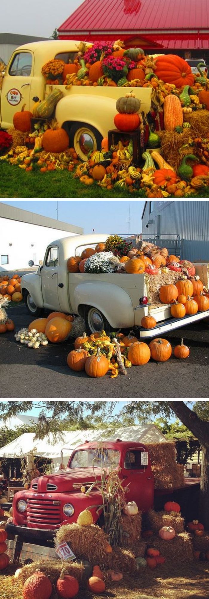 8 autumn harvest display ideas