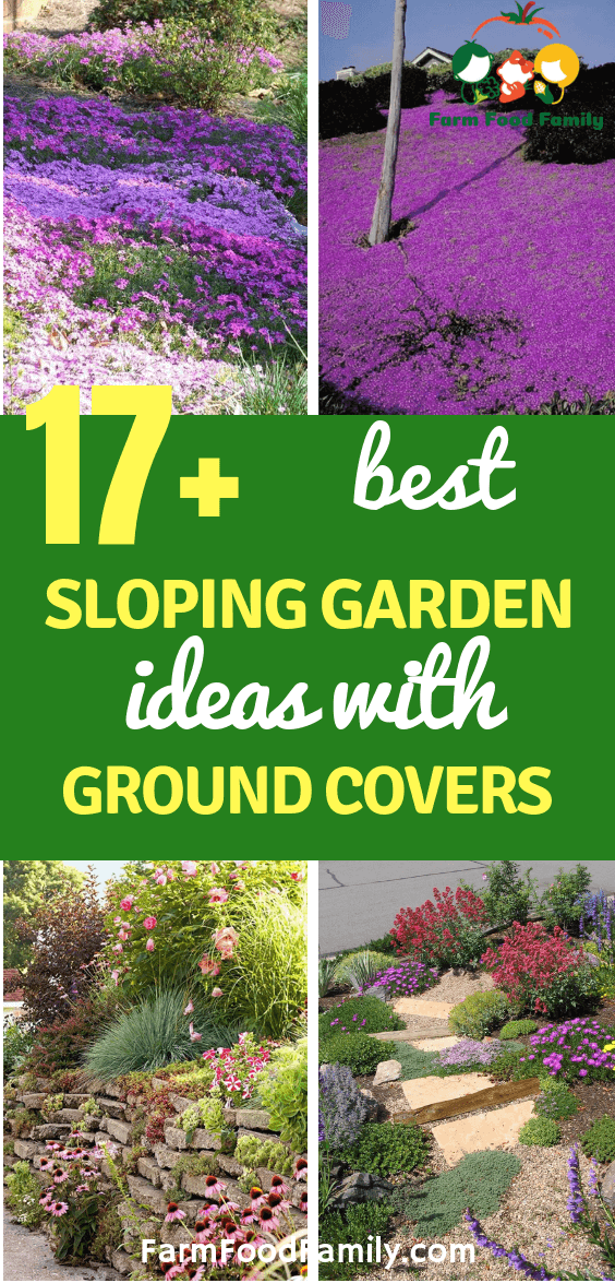 best sloping garden ideas with ground covers