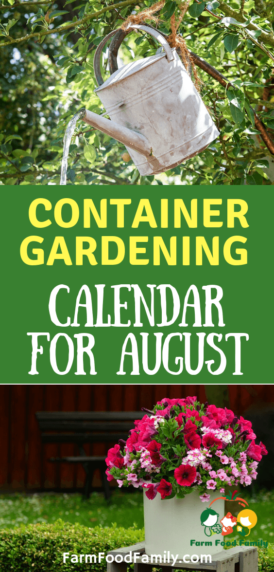 container gardening calendar for august