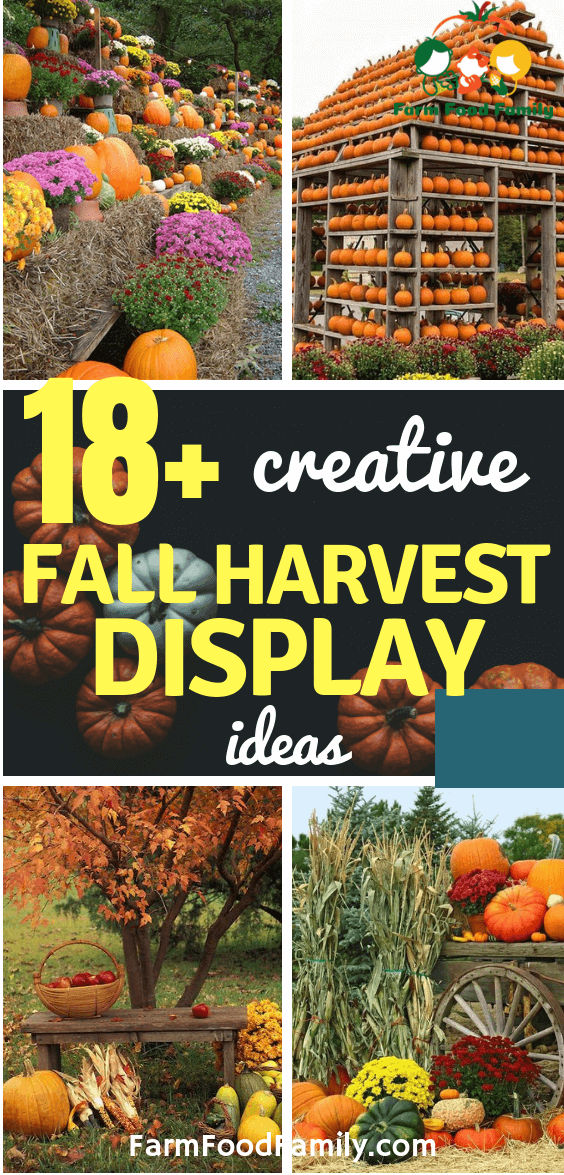 creative fall harvest display