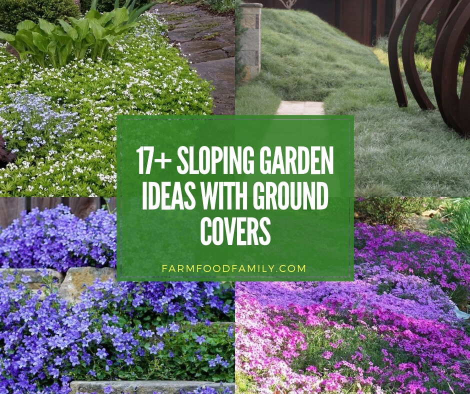 17+ Sloping Garden Ideas with Ground Covers - FarmFoodFamily