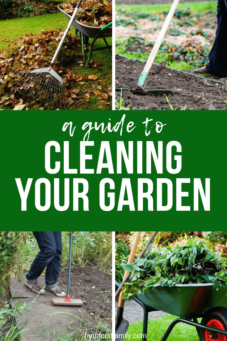 a guide to cleaning garden
