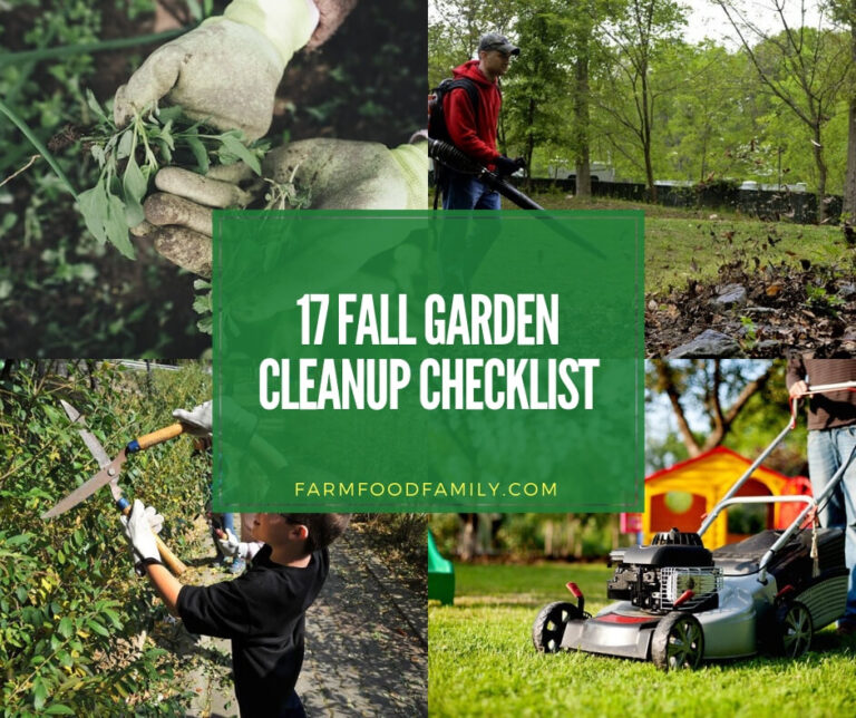 17 Fall Garden Cleanup Checklist