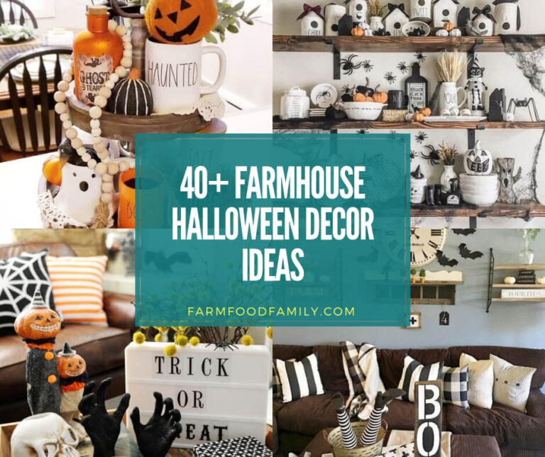 70+ Stylish Farmhouse Halloween Decor Ideas to Wow Your Visitors