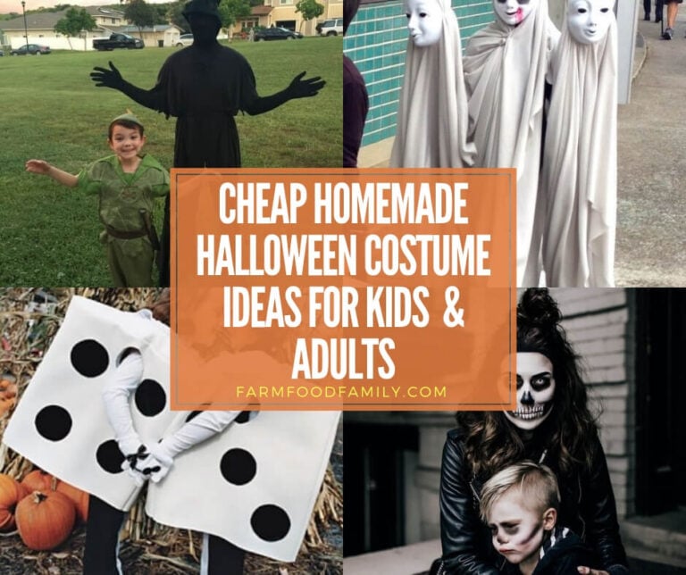 Cheap Homemade Halloween Costume Ideas: Inexpensive Costumes for Kids and Adults That Can be Made at Home