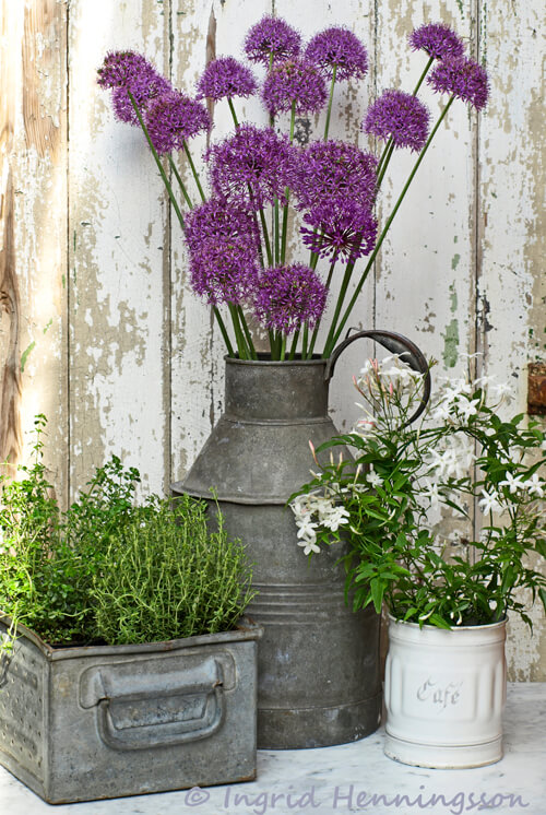 11 front door flower pot ideas
