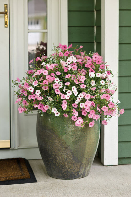 12 front door flower pot ideas