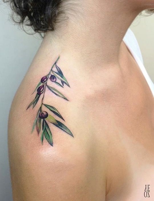 2 olive branch tattoo 7