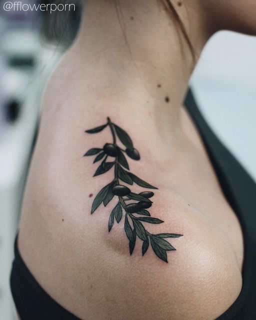 2 olive branch tattoo