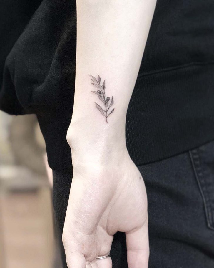3 olive branch tattoo 5