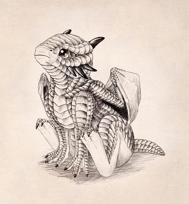 4 cute dragon drawings