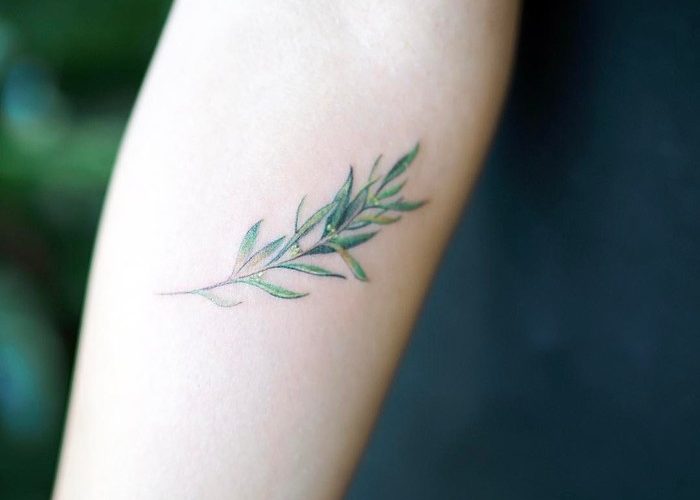 5 olive branch tattoo 1