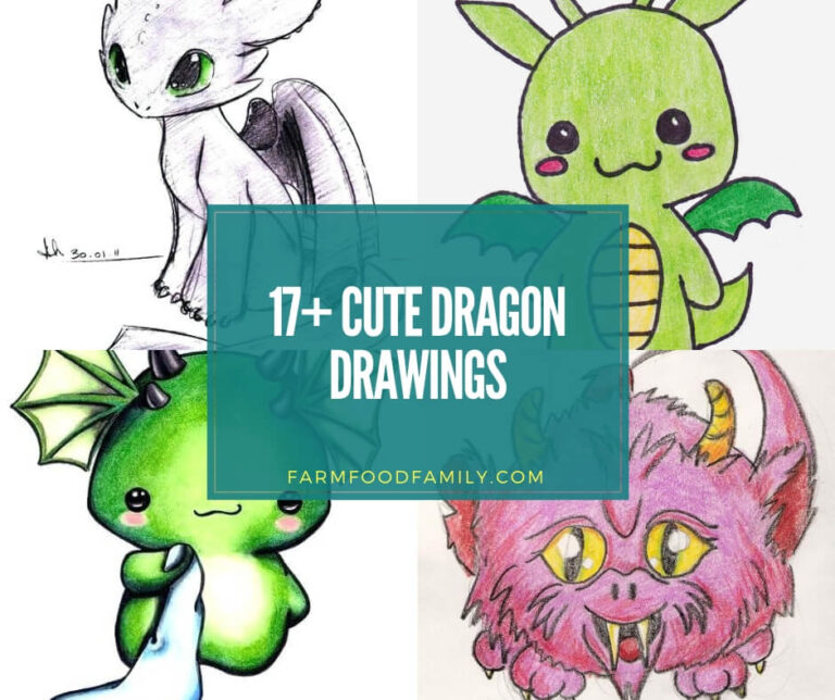 17+ Cool & Easy Dragon Drawings