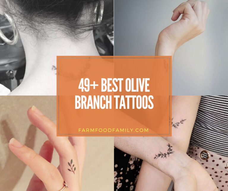 49+ Beautiful Olive Branch Tattoos