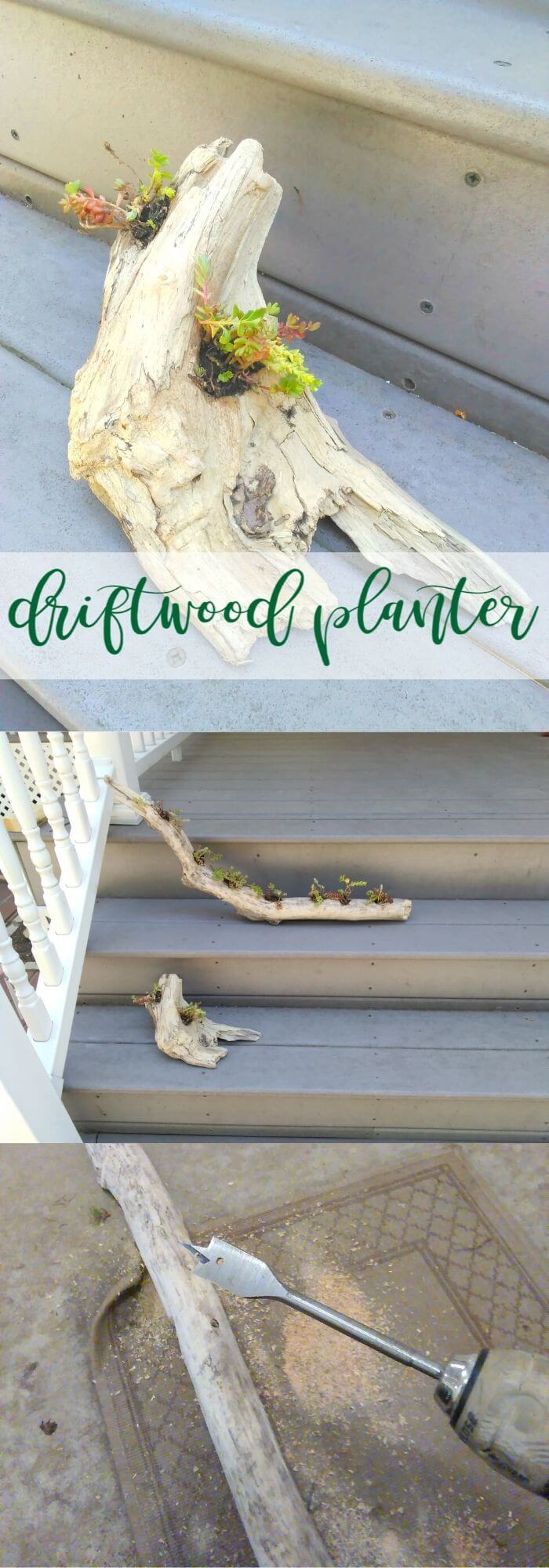 18 driftwood craft projects