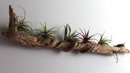 19 driftwood craft projects
