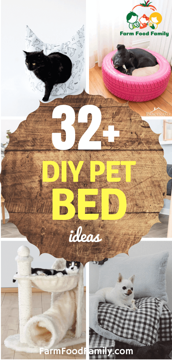 best diy pet bed ideas