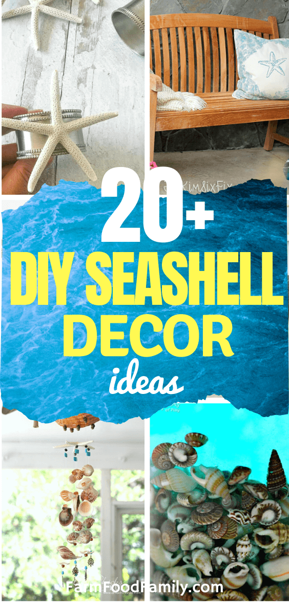 best diy seashell ideas