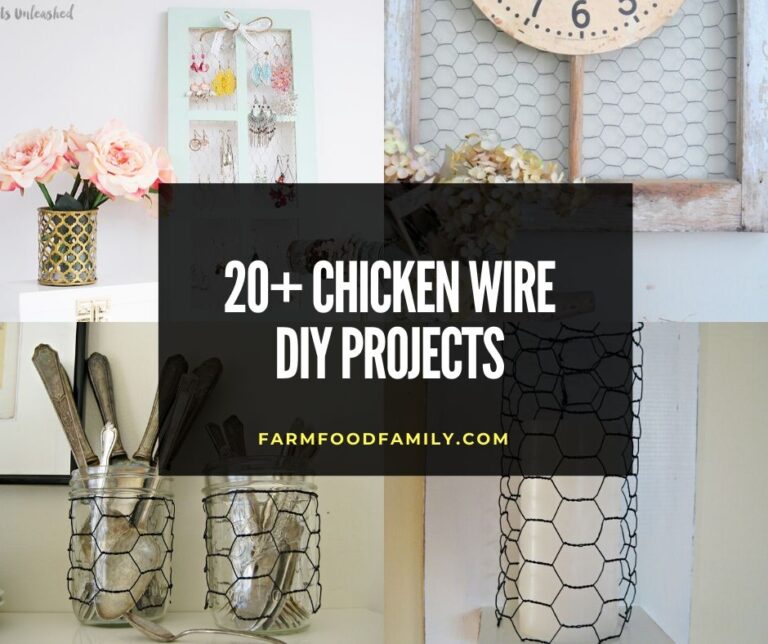 20+ Awesome Chicken Wire DIY projects