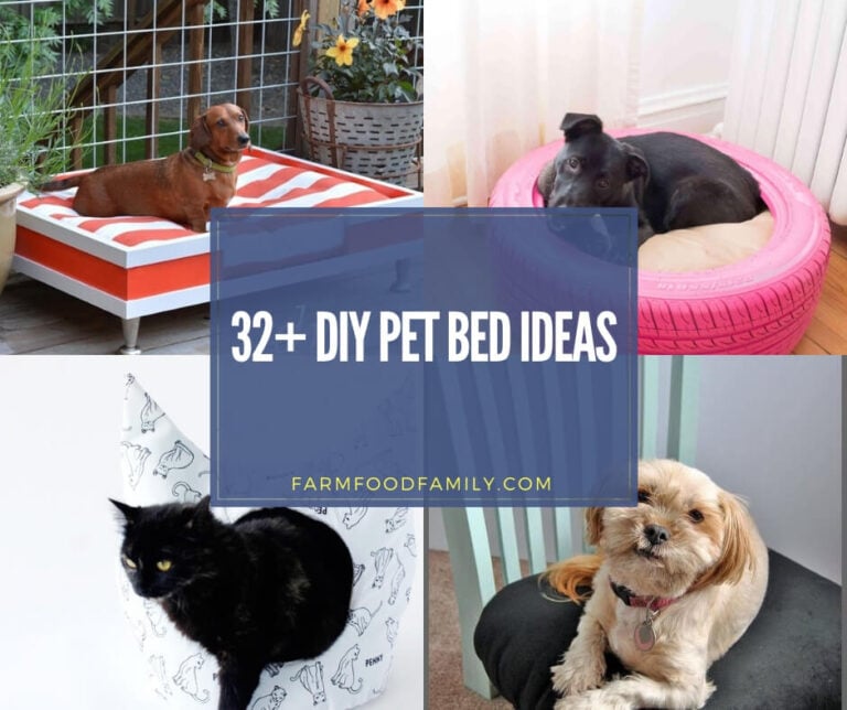 32+ Beautiful DIY Pet Bed Ideas