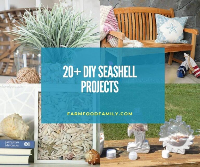 20+ Creative DIY Shell Decoration & Craft Ideas