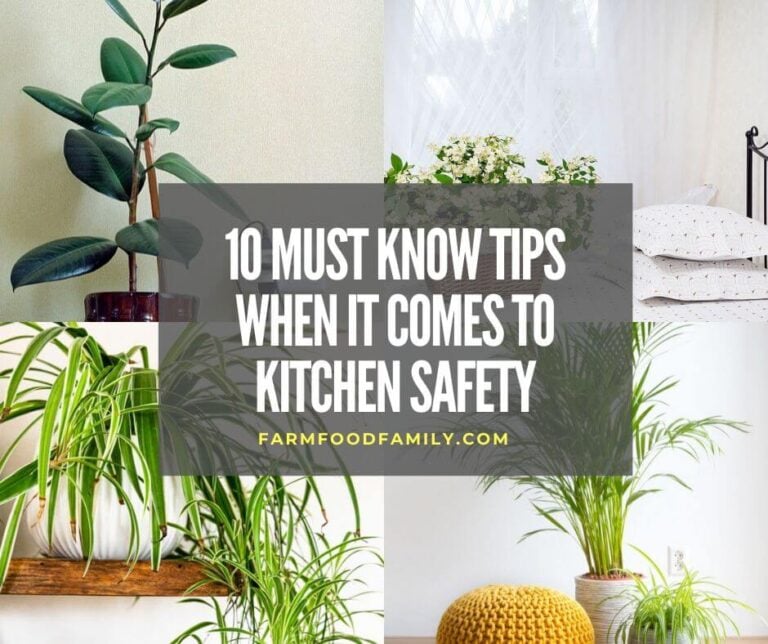 10 Must Know Tips When It Comes to Kitchen Safety