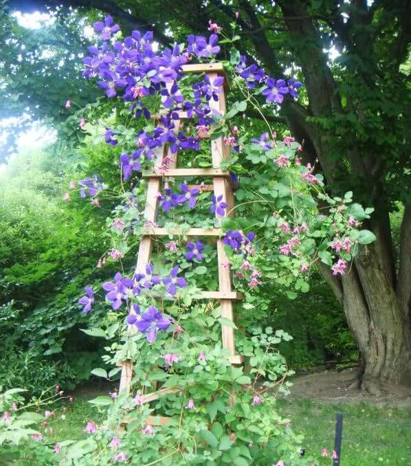 31 repurposed old ladder ideas