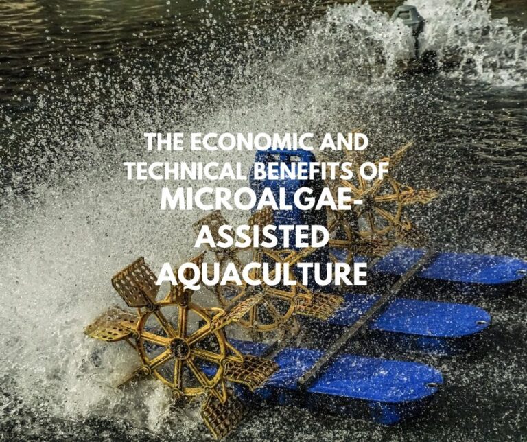 The Economic and Technical Benefits of Microalgae-assisted Aquaculture