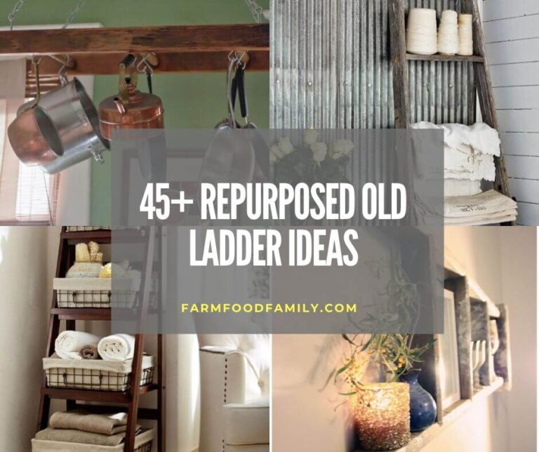 45+ Clever Repurposed Old Ladder Ideas