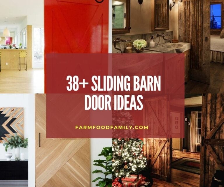 38+ Creative Sliding Barn Door Ideas and Designs