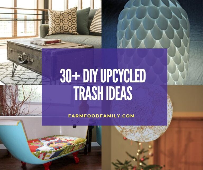 30+ Best DIY Upcycled Trash Ideas