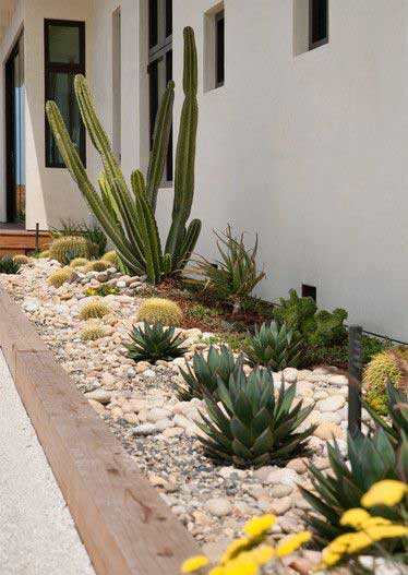 10 low water landscaping ideas