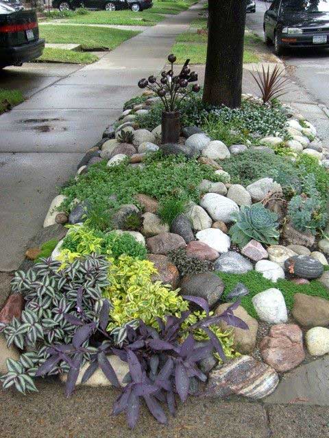 13 low water landscaping ideas
