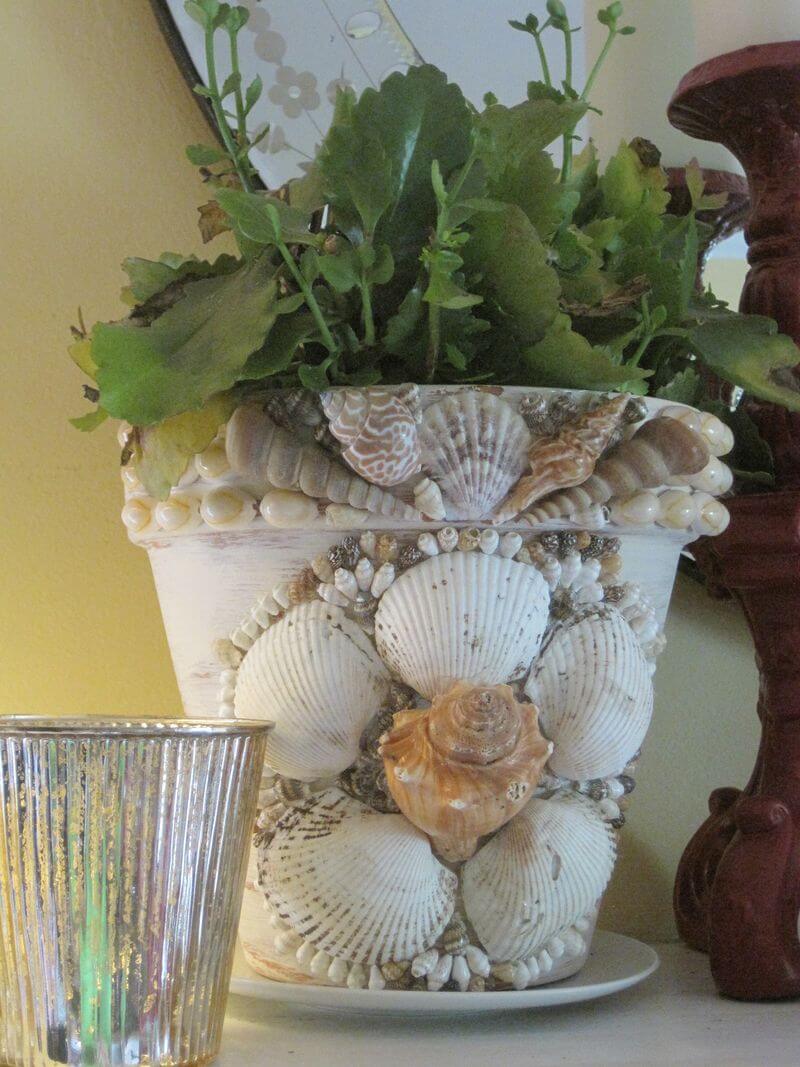 Sea shell planter | Beach-Style Outdoor Ideas For Your Porch and Backyard