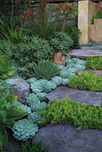 16 low water landscaping ideas