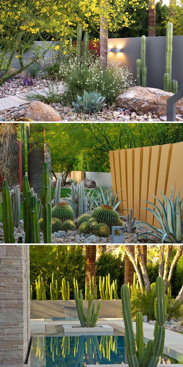 17 low water landscaping ideas