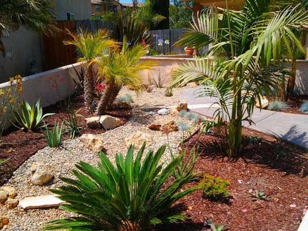 21 low water landscaping ideas