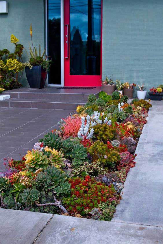 22 low water landscaping ideas