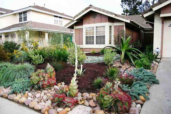 24 low water landscaping ideas