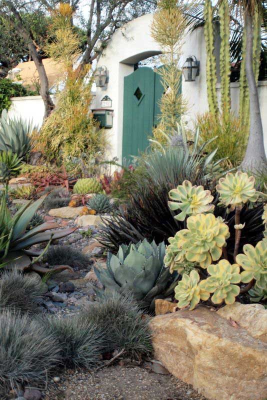 26 low water landscaping ideas