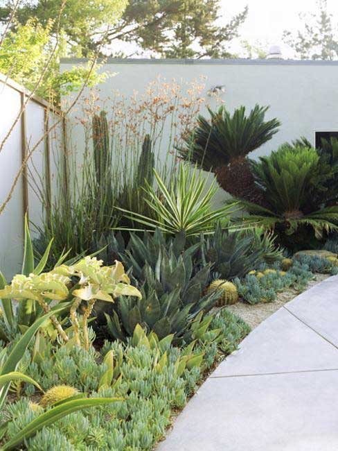 27 low water landscaping ideas