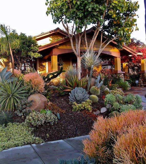 4 low water landscaping ideas