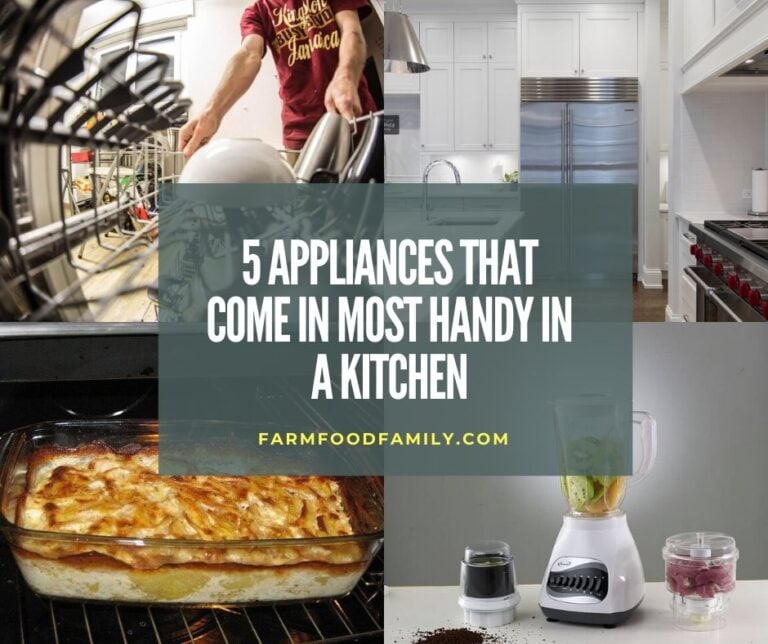 5 Appliances That Come In Most Handy In a Kitchen