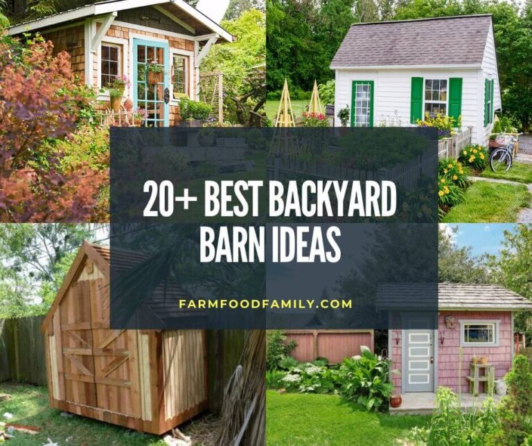 20+ Best Backyard Barn Ideas That Will Help You DIY a Shed