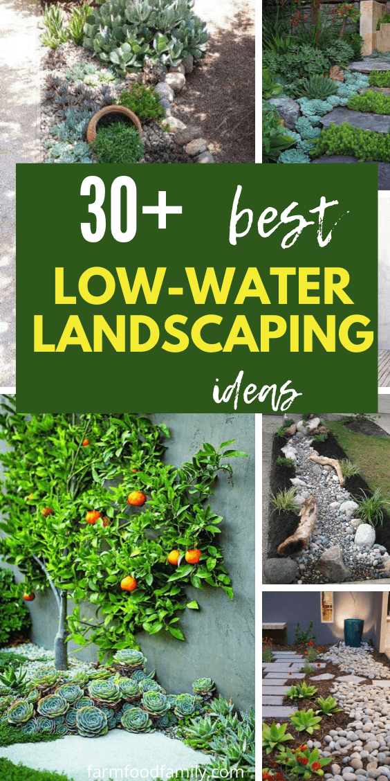 best low water landscaping ideas