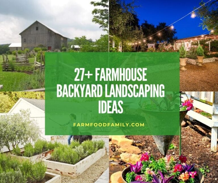 27+ Awesome Farmhouse Backyard Landscaping Ideas