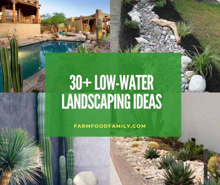 30 Drought-Resistant Landscaping Ideas For Your Garden