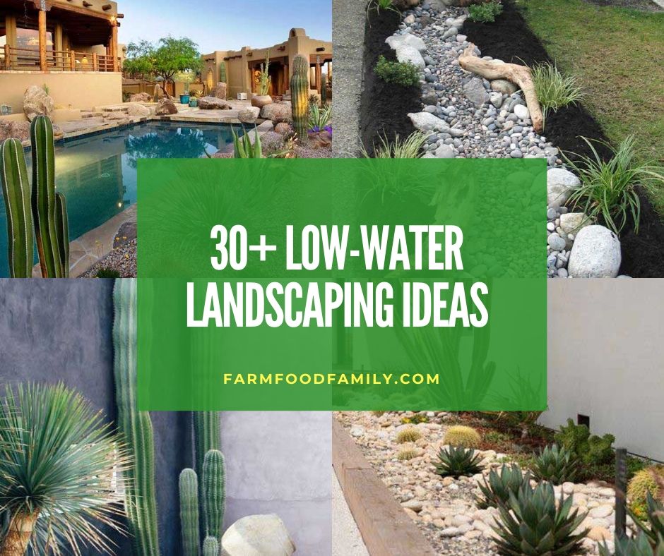Stunning Low Water Landscaping Ideas, Low Water Garden