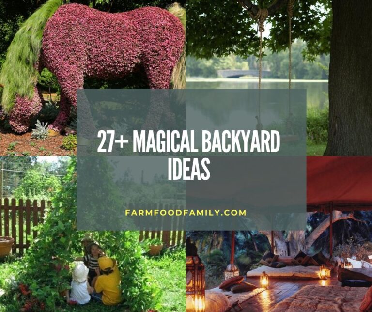 27+ Magical Backyard Ideas and Designs