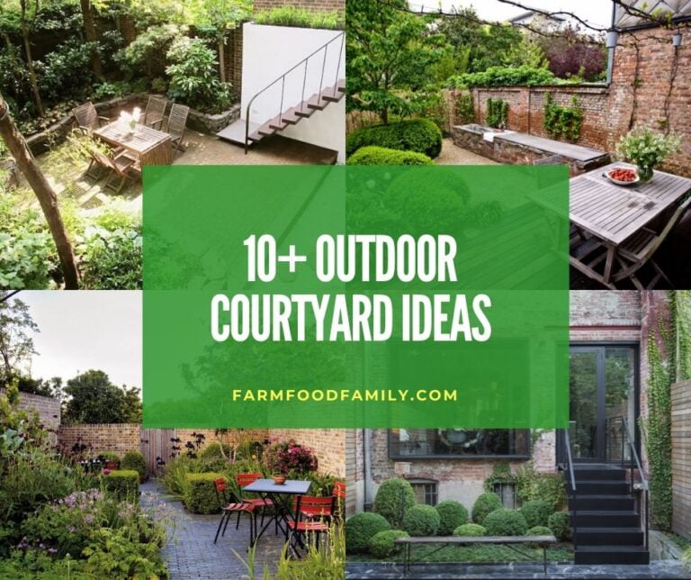 10 Chic Outdoor Courtyard Ideas To Try in Your Backyard